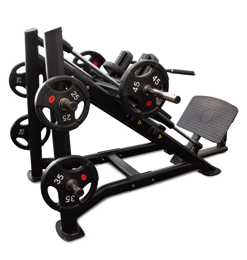 Hack Squat 