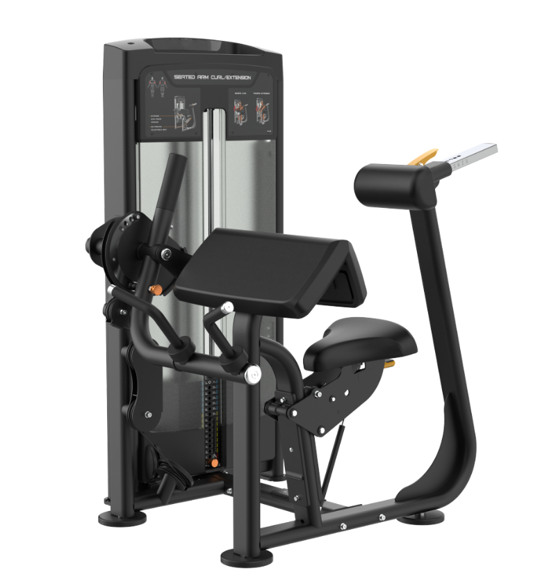 Seated Arm Curl/Extension