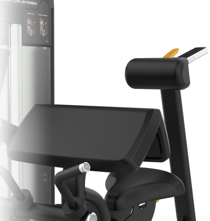 Seated Arm Curl/Extension