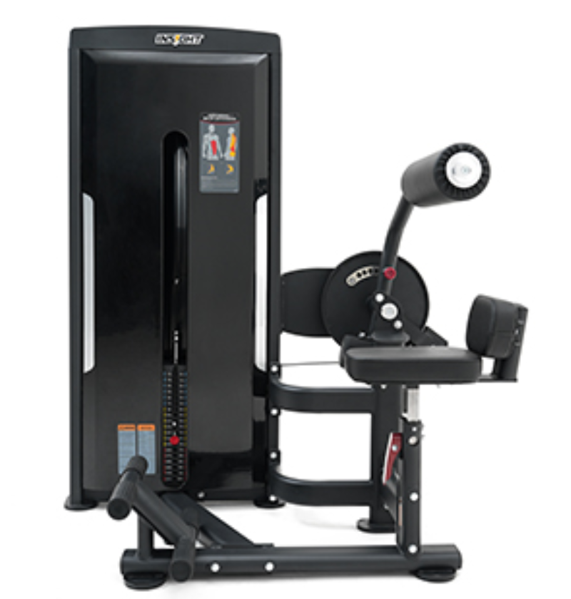 Abdominal Back Extension Black Selectorized Gym Equipment Displayed on a White Background 