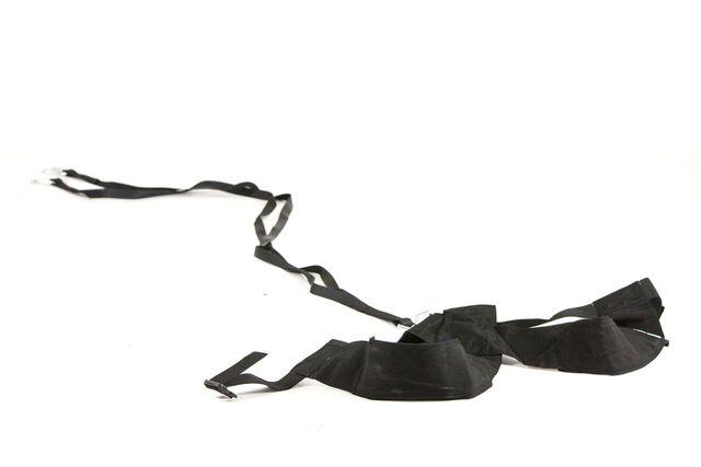 Sled Harness 