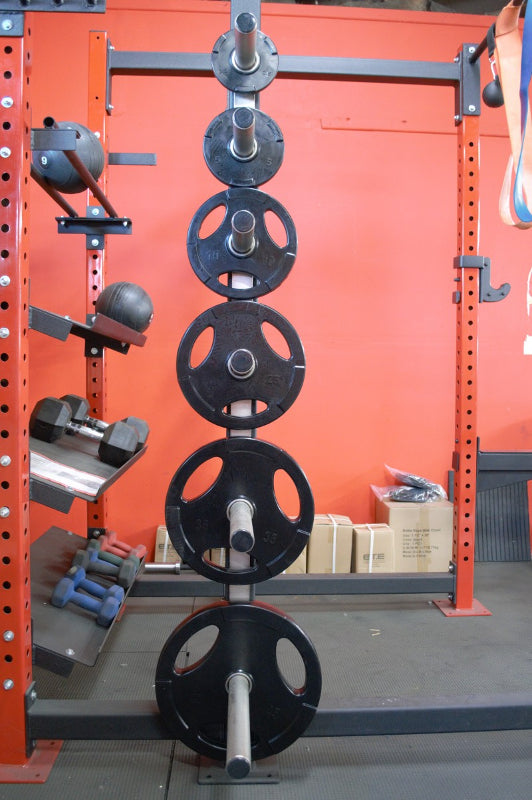 Wall Mounted Olympic Rack 