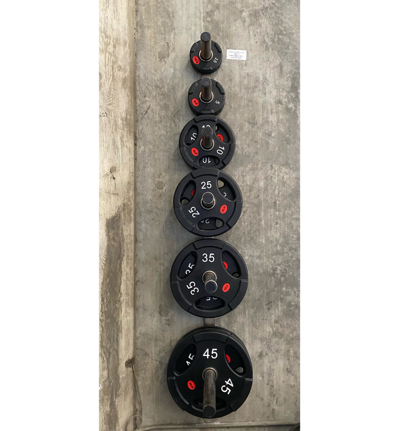 Wall Mounted Olympic Plate Rack with different size weights effectively stored 
